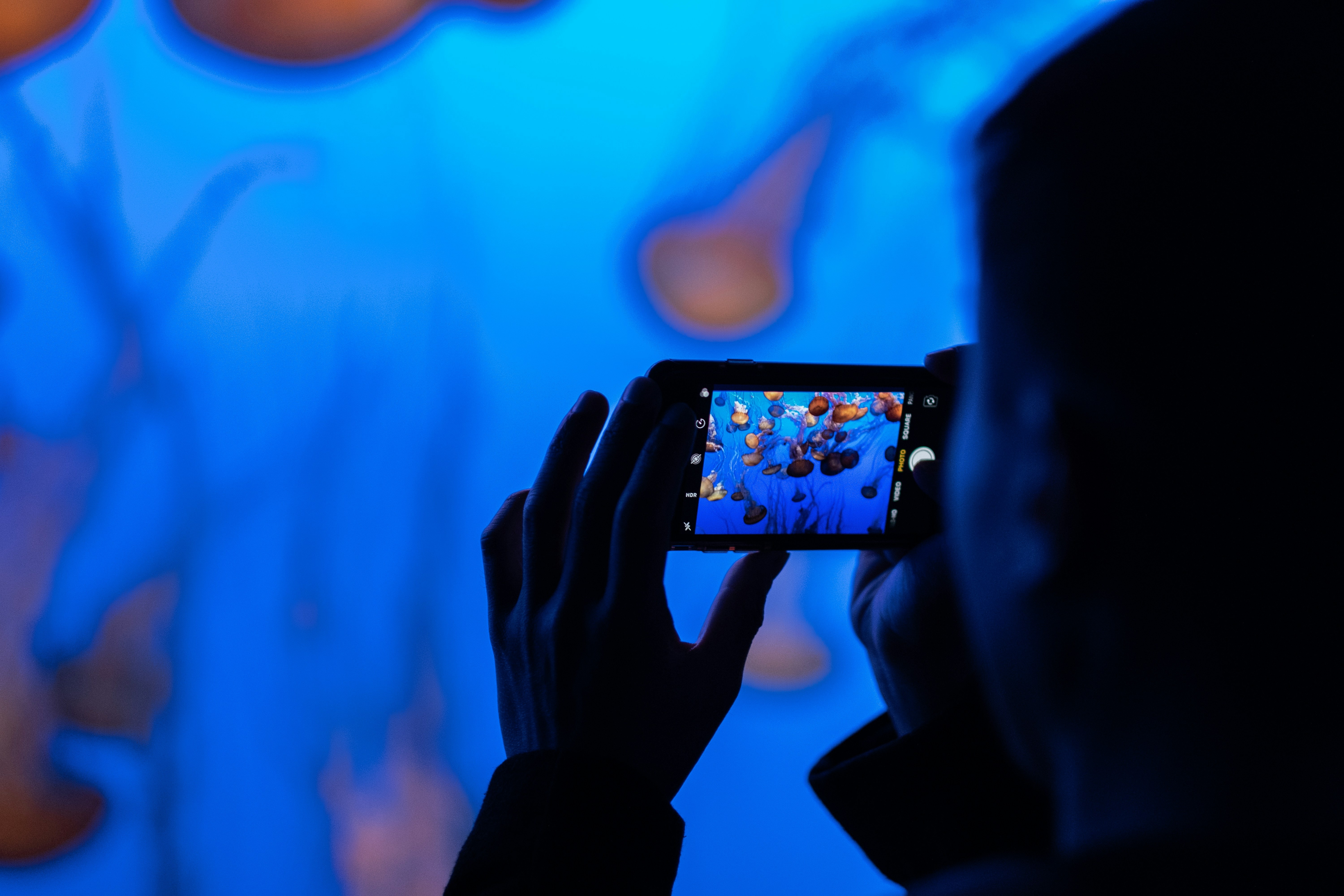 En person filmar ett akvarium, bilden är mörk.